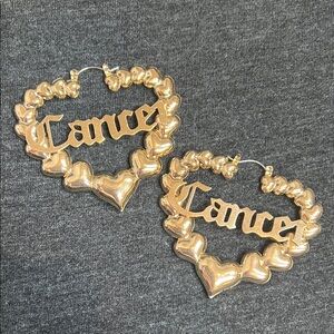 Cancer Zodiac Heart Hoop Earrings  ♋️